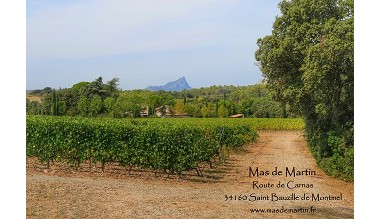 Le vigneron en cave